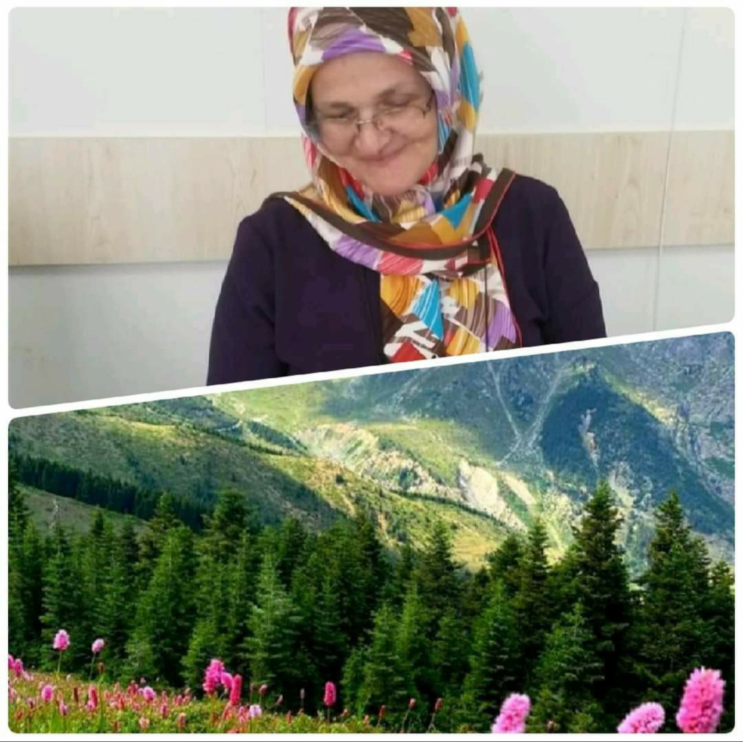 YETKİLİLERE MİZAHİ ŞEKİLDE YAZILAN DİLEKÇE